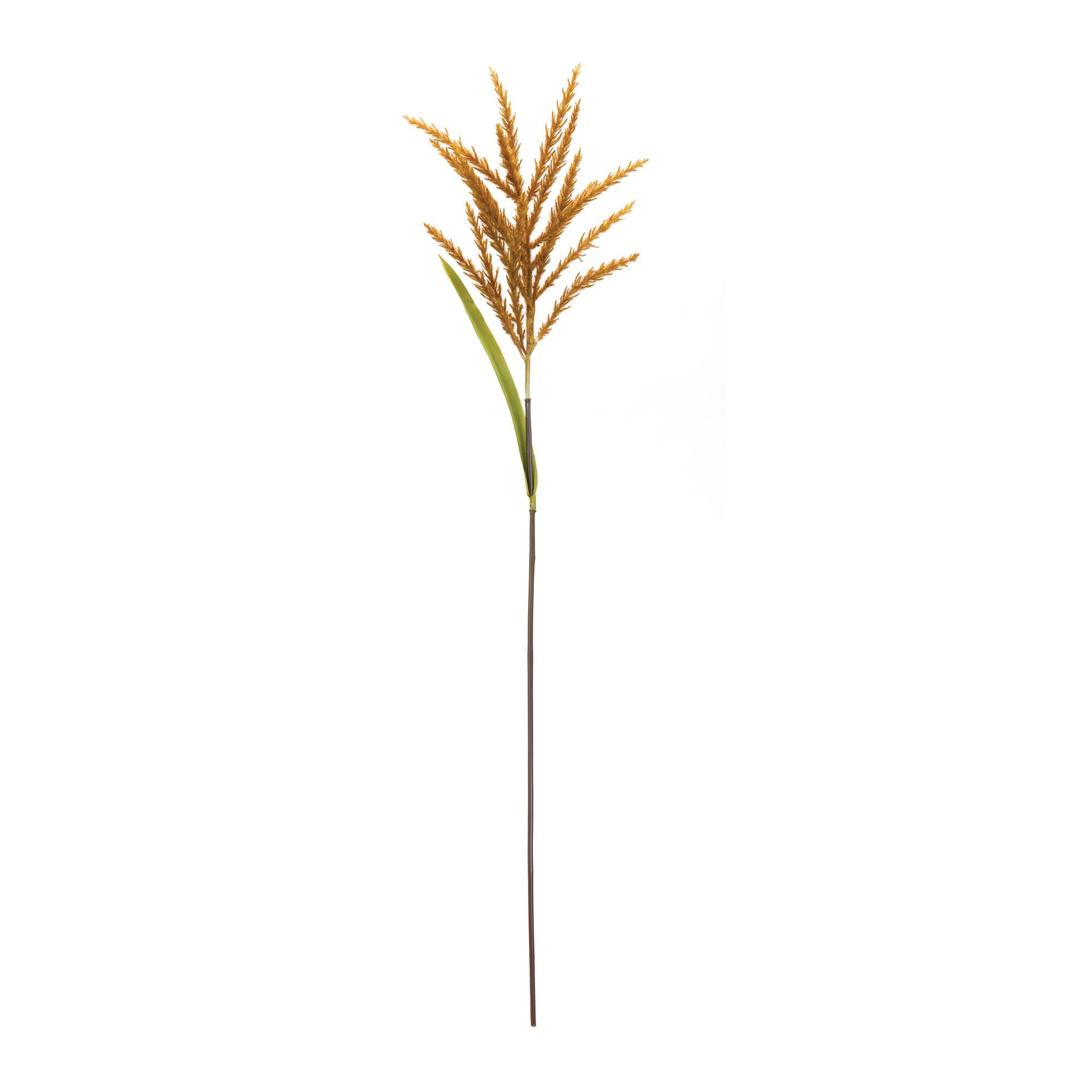 34" Orange Astilbe Stems, 12ct.